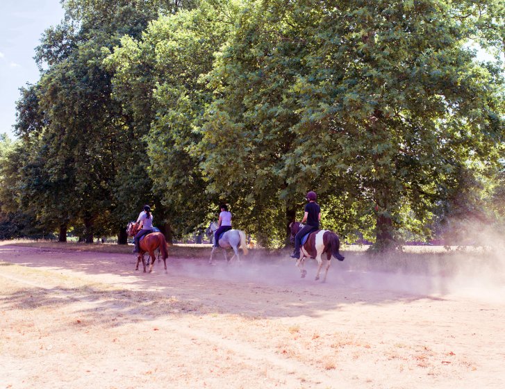 Horse riding in Corfu