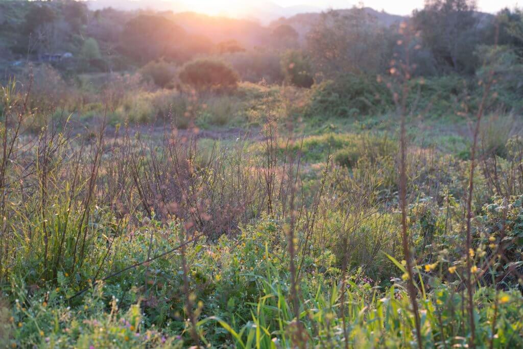 Photo of the countryside of Corfu